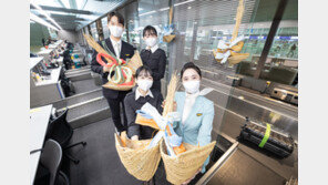 美 항공주 강세에 ‘리오프닝’ 고개 드나?…항공株↑