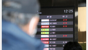 강풍에 제주 하늘길 일부 차질…17편 결항