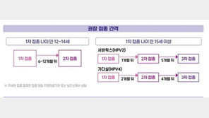 “이번 겨울방학 때 자궁경부암 백신 맞으세요”… 12~17세 여성 청소년 무료 접종