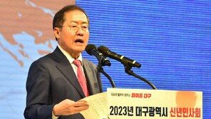 홍준표, 나경원 향해 “尹 진심으로 위한다면 자중해야”