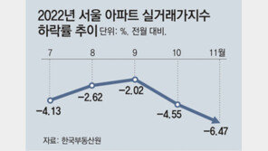 작년 11월 서울 실거래가, 6.47% 떨어져 역대 최대