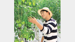감자농사꾼이 스마트팜 경영인으로… “재배-유통-마케팅 망라 사업모델 꿈”