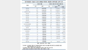 대기업 건설사 채무보증만 250조원…현대건설 ‘최대’