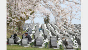 도외 형무소 끌려가 행불 제주4·3 희생자 신원확인 추진