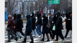 [날씨]내일 밤 서울 1㎝ 눈 예보…서울시, 비상대응 가동