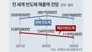 “작년 한국 반도체기업 효율성, 대만-日-美에 뒤져”