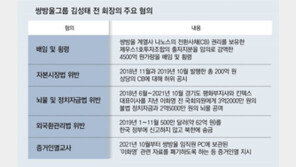 ‘쌍방울 실소유주’ 김성태 영장심사 포기… 檢, 李변호사비 대납 의혹도 규명 방침