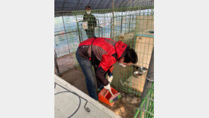 김기현, 유기견 보호센터 봉사활동…“동물복지권 강화”