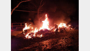 가평 캠핑장 카라반서 불… 60대 여성 숨져