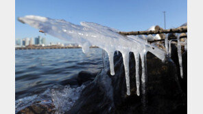 ‘서울 체감 -26도’ 전국 한파특보…제주 하늘길·뱃길 막혔다