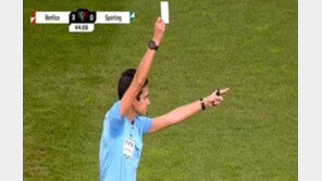 옐로·레드카드 아닌 화이트카드?…포르투갈 여자축구서 첫 선