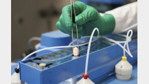 美 “바이오 의약품 자국서 생산하라”…韓제약협회 “우방국 차별 말라”