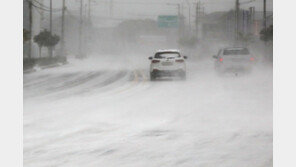 25일 오전까지 눈보라 예고에 제주 출근길·하늘길 ‘비상’