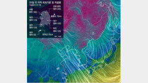 영하 40도 시베리아 냉기 한반도 남하… 오늘 출근길도 영하 9∼23도 최강 한파