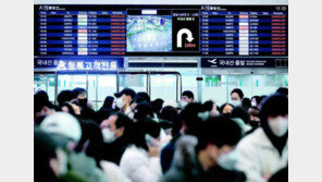 체감 영하 41도, 하루 65cm 폭설… 강풍에 하늘길-뱃길 스톱