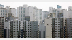 ‘세종의 강남’ 집값도 최고가의 반토막… 규제 풀어도 지방은 꽁꽁 