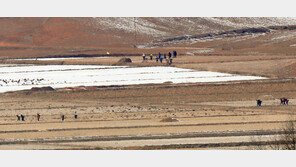 “러 연해주·사할린, 지난해 대북 수산물 수출 4배 늘어”
