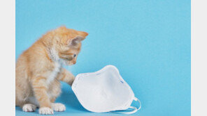 버려진 일회용 마스크 주원료…자칫 폐 손상 유발 가능성