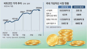 비트코인, 새해 37% 폭등… “대장주 뛴다” “침체기 안끝나” 갈려