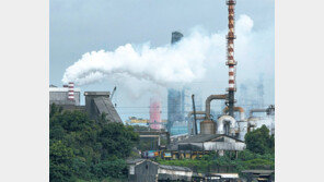 “EU 탄소관세, 韓에 5300억 추가부담” 