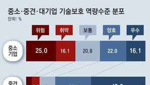 스타트업 기술보호 역량, 대기업의 57%… “원스톱 지원 플랫폼 시급” 