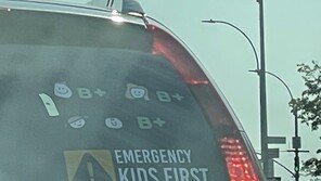 “차 뒤 ‘우리 아이 혈액형 A+’ 스티커, 다 소용 없다” 전문가가 밝힌 이유