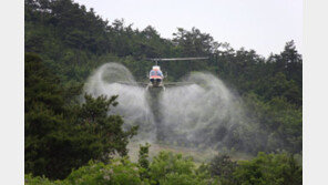 산림청, 소나무재선충병 항공방제 중단 검토… 환경 우려 반영