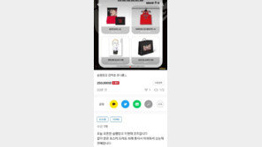 “다시 돌아온 ‘슬램덩크’ 열풍”…굿즈 중고가도 두배로 ‘점프’