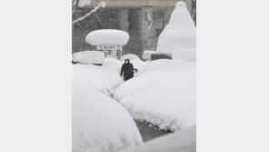 日폭설로 멈춰선 열차에 7000명 10시간 갇혀도… 승객보단 매뉴얼