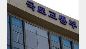 국토부, 해외 투자개발 지원 확대… 중견·중소 타당성조사 무료