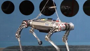 스파이더맨 로봇 다음은? 국내 연구진 모래 위 달리는 ‘사족보행 로봇’ 개발