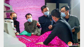 북한, 대중 ‘비단’ 수출 크게 증가…지난해 수출량 전년 대비 3배 늘어