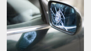 사이드미러 안접힌 車 노려…4대 훔치고 금품 절도한 남성 실형