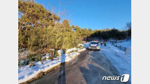 “전 남친 아기, 키울 맘 없었다” 한파 속 숲에 신생아 유기한 20대 엄마