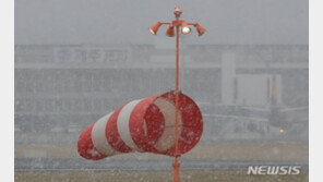 ‘한라산 눈 30㎝’ 제주, 대설경보에 강풍 예고…“교통 안전 유의”