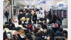 ‘강풍경보’ 제주공항 오후시간대 비행기 60여편 결항
