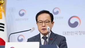 신정·석가탄신일·현충일·크리스마스도 대체공휴일 지정 검토