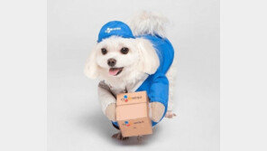 ‘택배견 경태’ 후원금 6억 챙긴 커플 실형…“여친 죄 더 무거워”