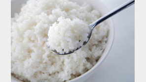 하루 밥 ‘한 공기 반’ 먹는다… 쌀 소비 30년새 반토막