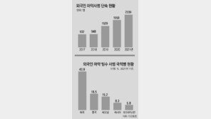 단순 밀반입서 직접 제조로… 외국인 마약범 4년새 932명→2339명