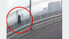 한강 다리 난간에 앉은 20대女…車 세우고 살금살금 시민이 구했다