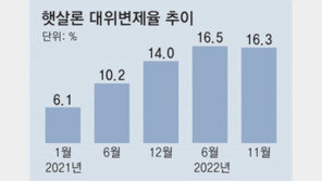 ‘햇살론’ 16% 정부가 대신 갚아… 서민대출 부실 경고등