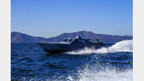 韓美英, 한국 해역서 연합훈련 