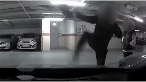 135만원짜리 발길질…새벽 주차시비 이웃 “다 부숴버릴 것”(영상)