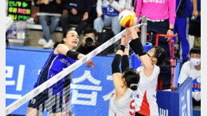 한국배구연맹 “경기중 연습구 사용, 주의하겠다”
