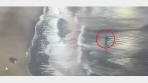 차가운 바다로 뛰어든 모녀…구조한 경찰이 건넨 말