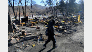 건조한 날씨에 작년 화재 11% 늘어…사망자 78%가 50대 이상