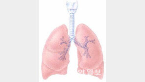폐암 세포 전이 막고, 치료 가능 상태로 되돌렸다