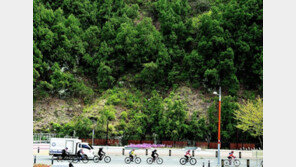 대구 동구, 2026년까지 ‘목재 친화 도시’로 탈바꿈 