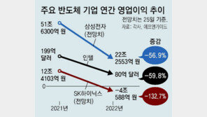 “메모리 반도체 최악 침체기… 삼성 등 업계 손실 6조 전망”